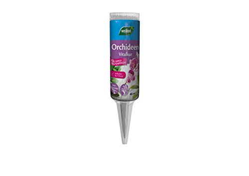 Westland Orchideen Vitalkur, 40 ml – Pflanzendünger für gesundes Wachstum...