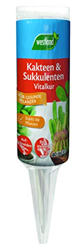 Westland Kakteen & Sukkulenten Vitalkur, 40 ml – Pflanzendünger für gesundes...