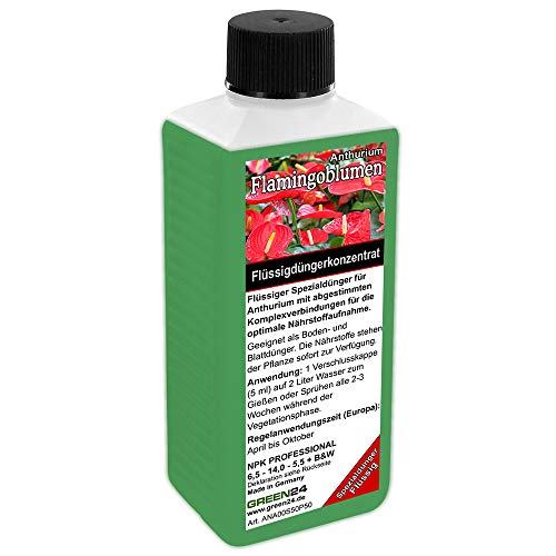 GREEN24 Anthurium Dünger HIGH-TECH Spezial Pflanzen-Dünger für...