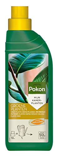 Pokon Grünpflanzen-Flüssigdünger, Dünger, Flüssig, Grünpflanzen im Zimmer,...