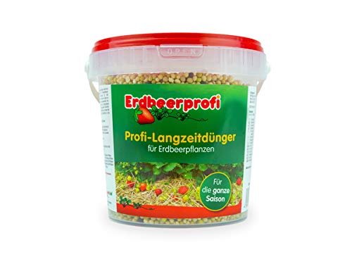 Erdbeerprofi - Dünger für Erdbeeren (1000 g) - Langzeitdünger für...