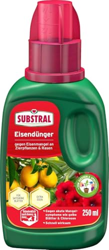 Substral Eisendünger, 250 ml - Flüssigdünger gegen Eisenmangel an...