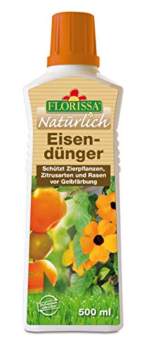 Florissa Eisendünger 500 ml