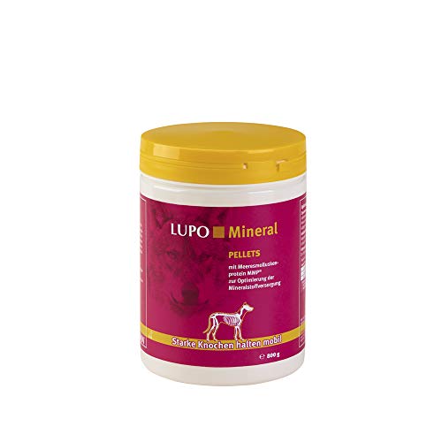 Luposan Lupo Mineral für Hunde Knochenmehl (800 g)