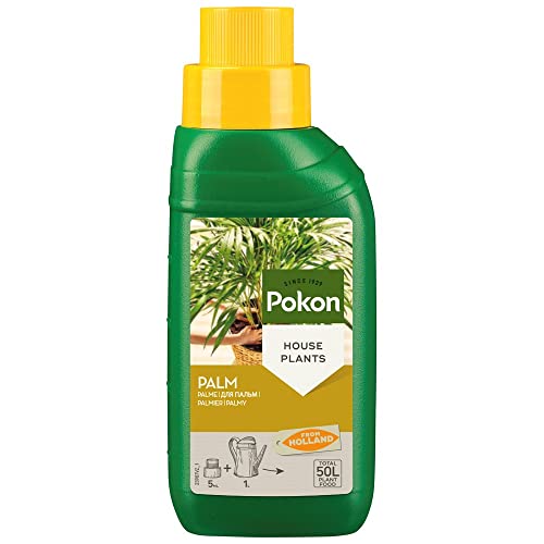 Pokon Palmen Flüssigdünger für alle Palmenarten, mit Extra Eisen, 250ml