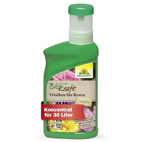 Neudorff BioKraft Vitalkur für Rosen – Konzentrat vitalisiert durch...