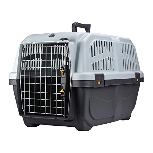 TRIXIE Transportbox Skudo – S: 40 × 39 × 60 cm, IATA-konforme Transportbox...