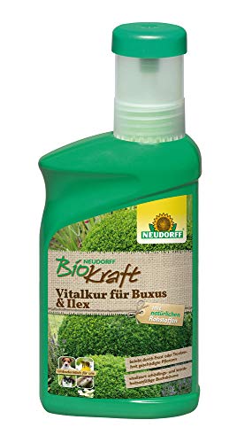 Neudorff BioKraft Vitalkur für Buxus & Ilex – Konzentrat vitalisiert...