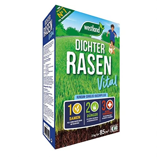Westland Dichter Rasen Vital, 3 kg, 85 m² – Rasendünger mit Rasensamen für...