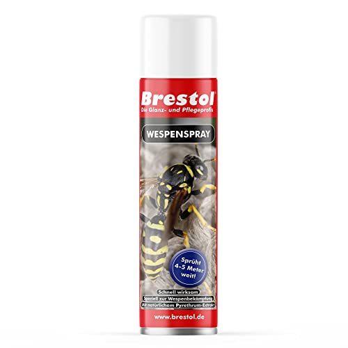 WESPENSPRAY 400 ml - Wespen-Ex Power Spray Pyrethrum Insektizid Wespenschaum...