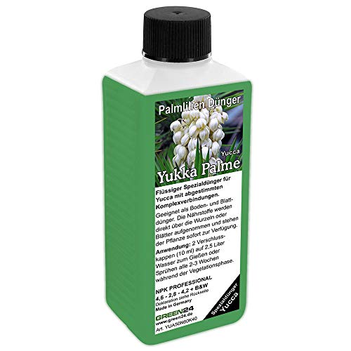 GREEN24 Yukkapalmen Dünger Yucca düngen Palmlilien, Premium Flüssigdünger...