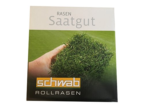 Samen Regenerationsmischung zur Nachsaat 1kg