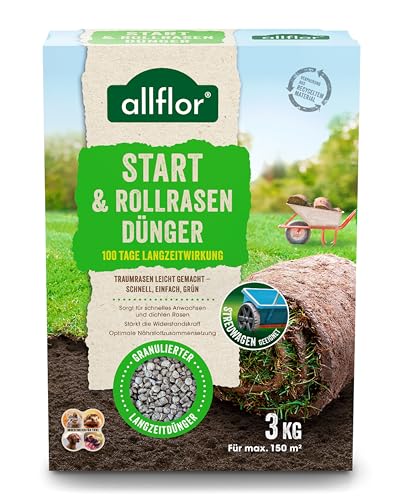 Allflor Start-Rasendünger 1 x 3 kg I Für die Neuaussaat & Rollrasen I...
