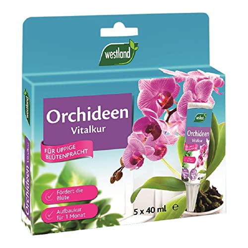 Westland Orchideen Vitalkur, 5x 40 ml – Pflanzendünger für gesundes Wachstum...