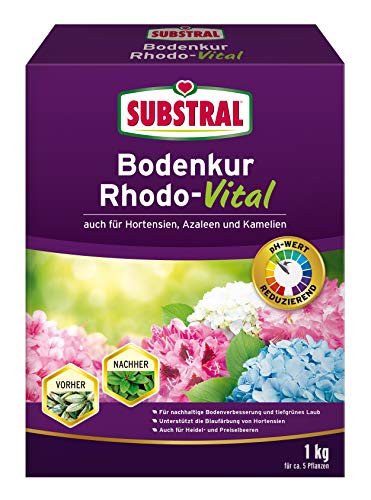 Substral Bodenkur Rhodo-Vital für Rhododendren, Azaleen, Hortensien, Himbeeren,...