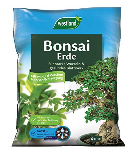 Westland Bonsai Erde, 4 l – Erde mit Tongranulat für starke Wurzeln und...
