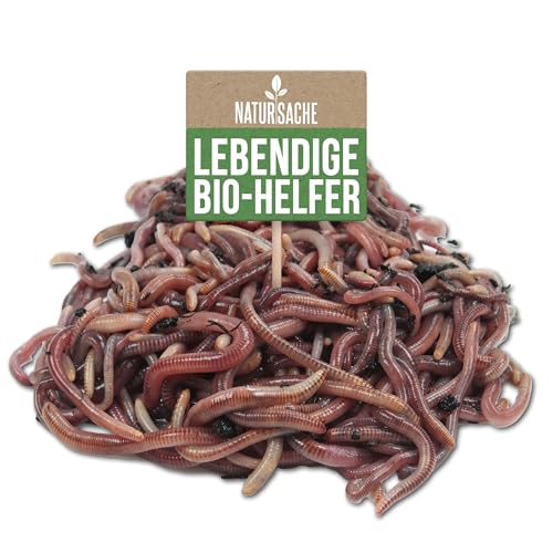 Natursache Kompostwurm-Mix 250 STK./Box + E-Book I Mit 3 Arten lebenden...
