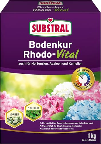 Substral Bodenkur Rhodo-Vital, 1 kg - für Rhododendren, Azaleen, Hortensien,...