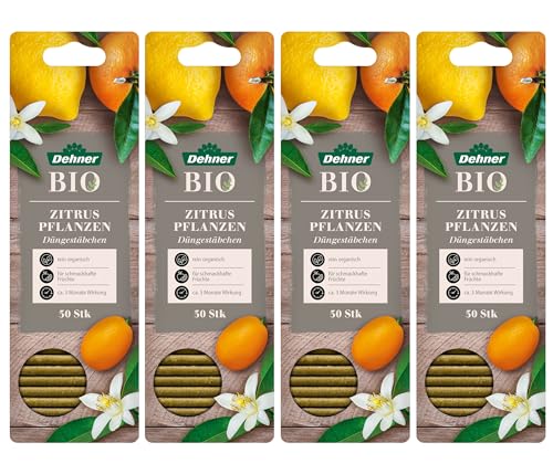 Dehner Bio Düngestäbchen für Zitruspflanzen, Spezialdünger, hochwertiger...