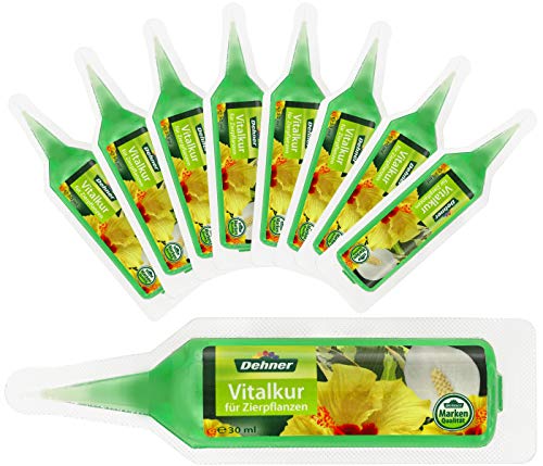 Dehner Zierpflanzen Vitalkur, flüssig, 10 Stück, je 30 ml