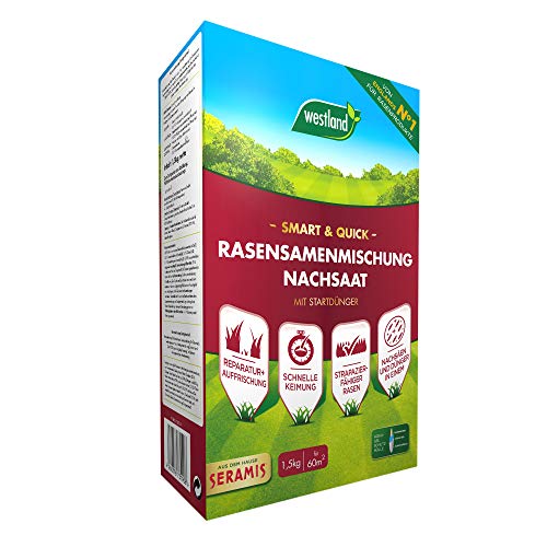 Westland Smart & Quick Rasensamenmischung Nachsaat, 1,5 kg, 60 m² – Gras-Saat...