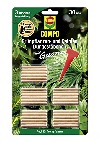 COMPO Grünpflanzen- und Palmen Düngestäbchen mit Guano