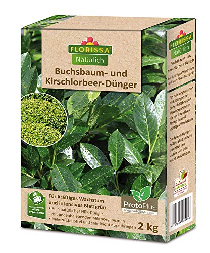 BIO Dünger für Buchsbaum, Kirschlorbeer und immergrüne Pflanzen mit ProtoPlus...
