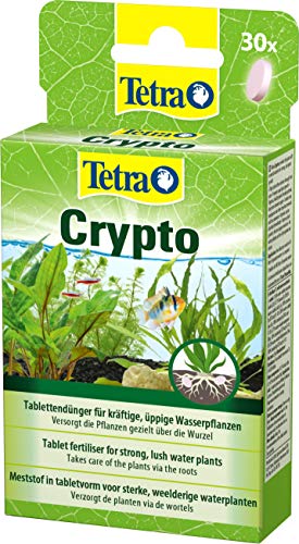 Tetra Crypto Düngetabletten - für üppige und gesunde Wurzelbildung der...