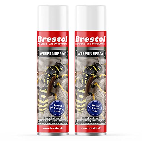 WESPENSPRAY 2x 400 ml - Wespen-Ex Power Spray Pyrethrum Insektizid Wespenschaum...