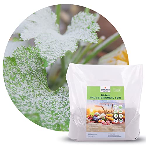 Schicker Mineral Diabas Urgesteinsmehl 5 kg feinstes Gesteinsmehl/reines...