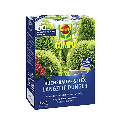 COMPO Buchsbaum- und Ilex Langzeit-Dünger, Für Buchsbäume, Stechpalmen und...