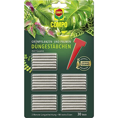 COMPO Grünpflanzen- und Palmen Düngestäbchen mit Guano, Dünger mit 3 Monaten...
