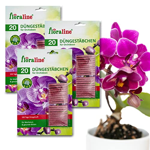 floraline® | 60x Orchideen - Düngestäbchen | Orchideen Dünger für bis zu...