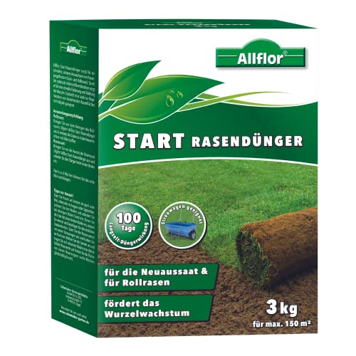 Allflor Start-Rasendünger 1 x 3 kg I Für die Neuaussaat & Rollrasen I...