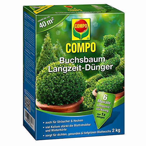 Compo Buchsbaum Langzeit-Dünger