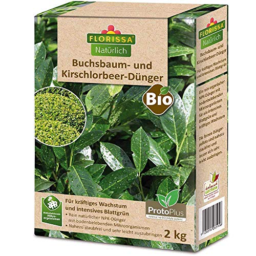 Florissa BIO Kirschlorbeerdünger 2Kg Buchsbaum und immergrüne Pflanzen mit...